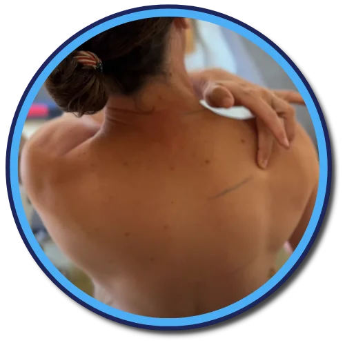 Gonstead Visualization